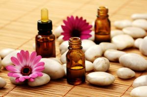Nancy Serba - Gold Wellness Advocate doTERRA
